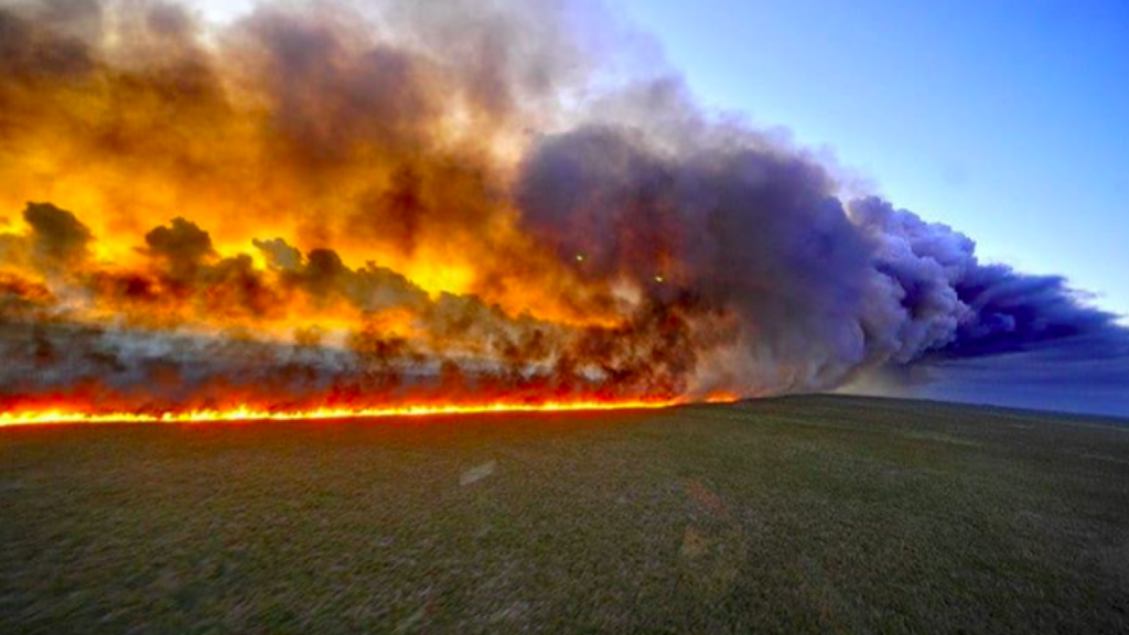 Amazzonia e Siberia in fiamme